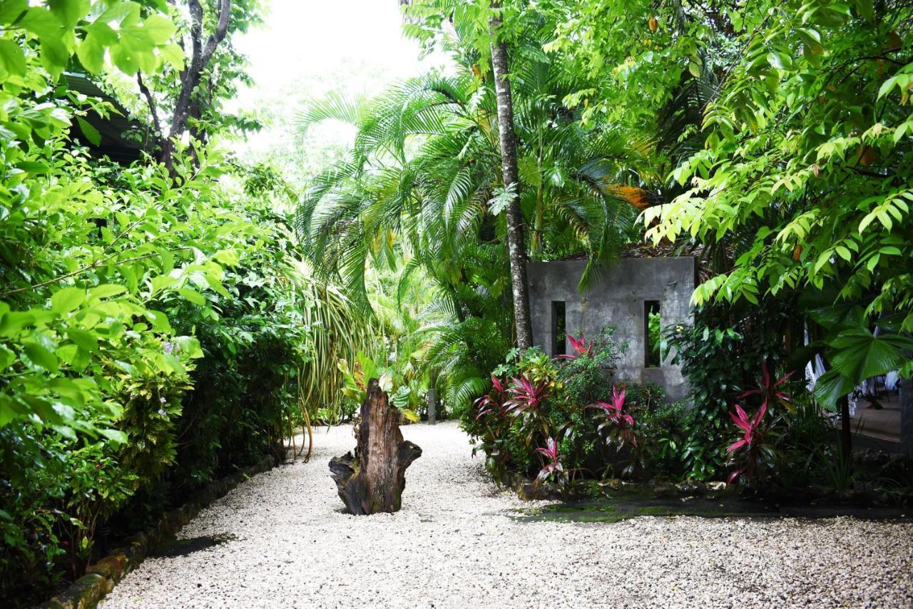 Pachamama LodgePlaya Santa Teresa  エクステリア 写真